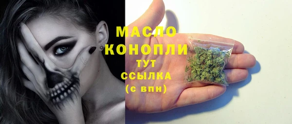 spice Каменка