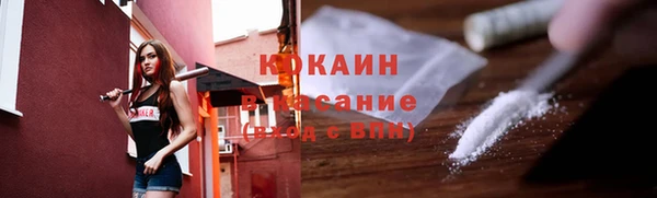 spice Каменка