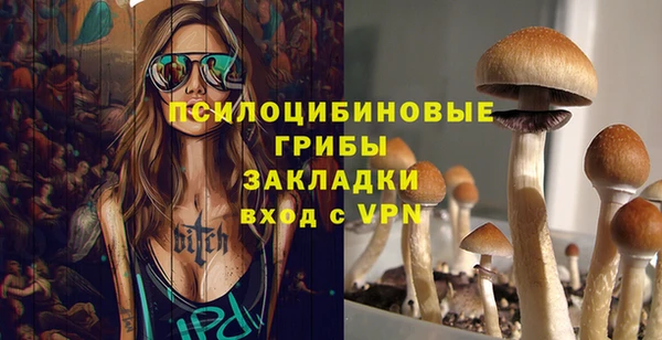 spice Каменка