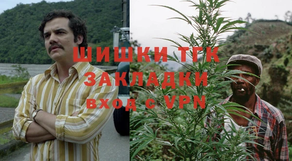 стафф Каменск-Шахтинский